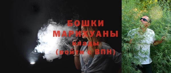 мдпв Алагир