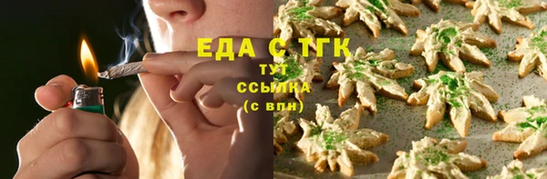 гашик Инта